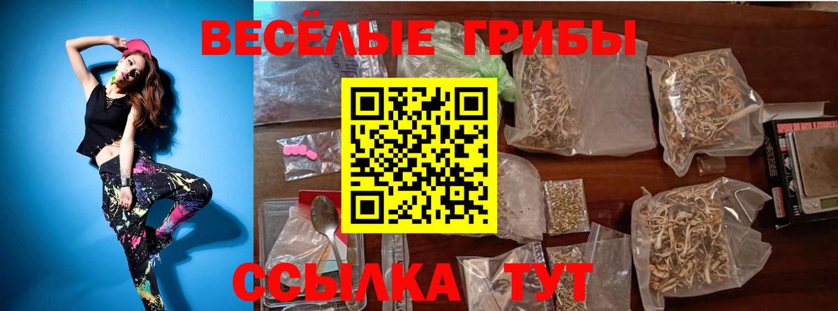 Галлюциногенные грибы прущие грибы  Вход с VPN  Кулебаки  Галлюциногенные грибы Psilocybe 